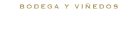Cinco Sentidos Logo